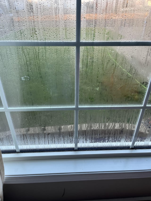 Moisture Buildup on Inside of Windows